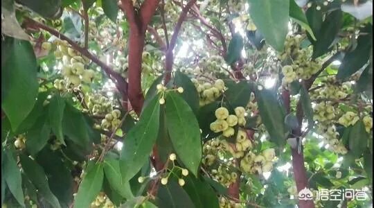 梦想总是遥不可及，是不是应该放弃？