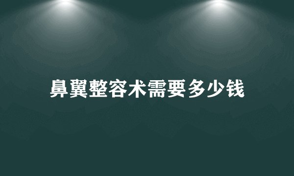 鼻翼整容术需要多少钱