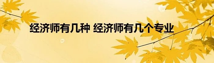经济师有几种 经济师有几个专业