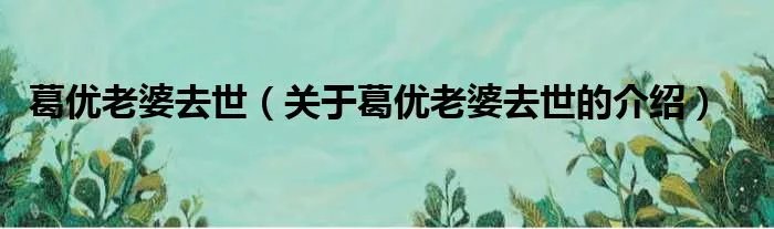 葛优老婆去世（关于葛优老婆去世的介绍）