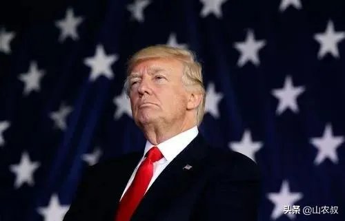 美国大选票数怎样,谁领先了?