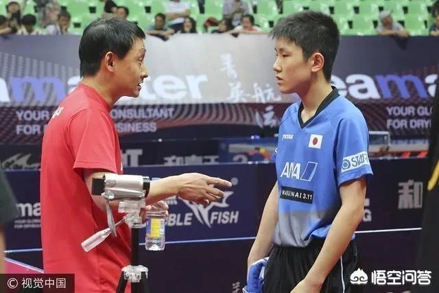 樊振东输张本智和