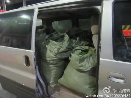 迪士尼现采花贼 夫妻俩一人工作一人放风