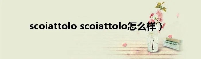 scoiattolo scoiattolo怎么样)