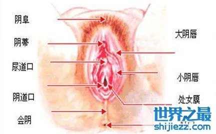 最真实的女人私长处啥样图片,擦下口水禁止幻想