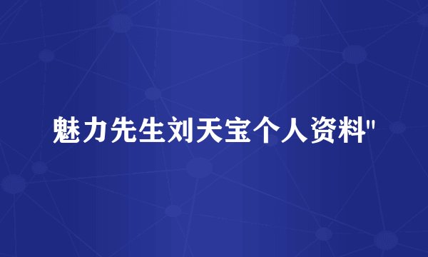 魅力先生刘天宝个人资料