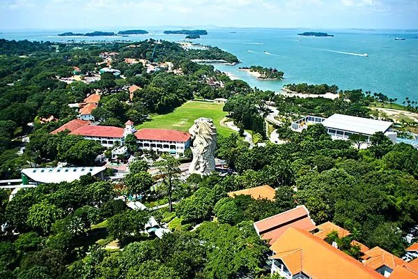 新加坡人口2019总人数口