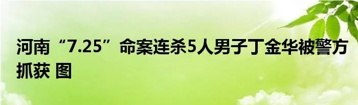 河南“7.25”命案连杀5人男子丁金华被警方抓获 图