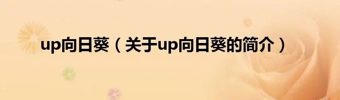 up向日葵（关于up向日葵的简介）