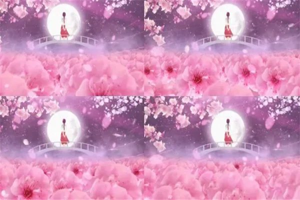 2020抖音最热歌曲排名前十：往后余生上榜，它为纪念马航