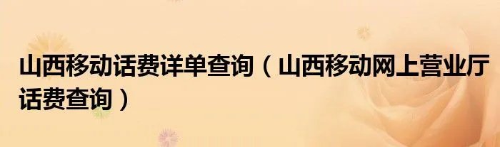山西移动话费详单查询（山西移动网上营业厅话费查询）