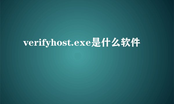 verifyhost.exe是什么软件