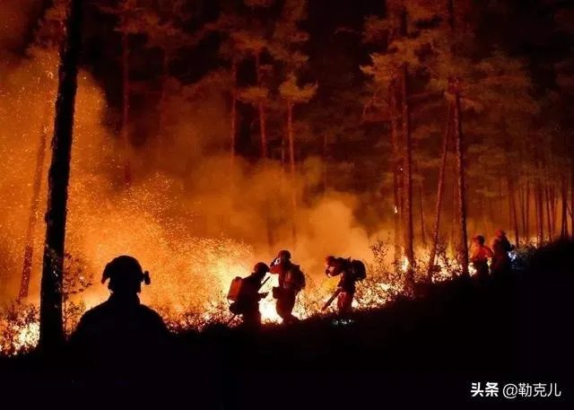 西昌山火为什么会死这么多人?