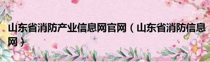 山东省消防产业信息网官网（山东省消防信息网）