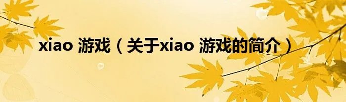 xiao 游戏(关于xiao 游戏的简介)