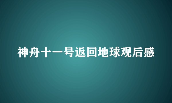 神舟十一号返回地球观后感