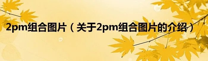 2pm组合图片（关于2pm组合图片的介绍）