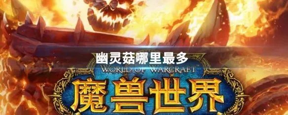 幽灵菇哪里最多