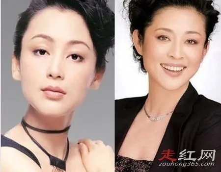倪萍整容前后照片 比之前年轻清瘦了许多
