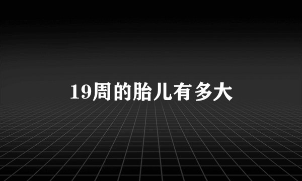 19周的胎儿有多大