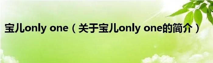 宝儿only one（关于宝儿only one的简介）
