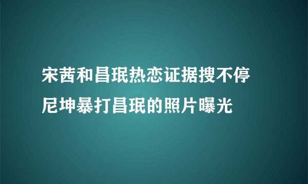 宋茜和昌珉热恋证据搜不停 尼坤暴打昌珉的照片曝光