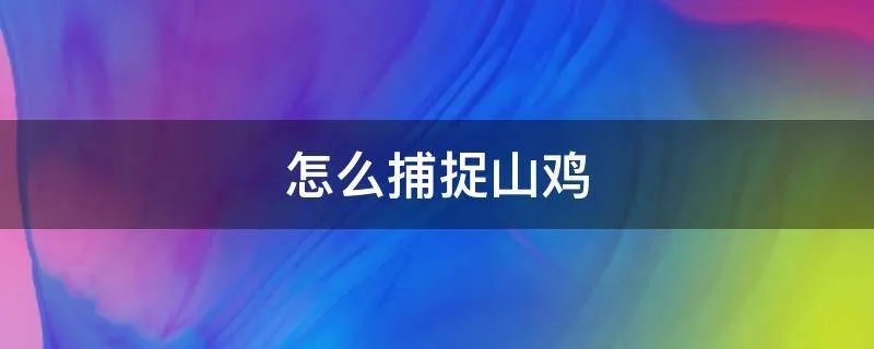 怎么捕捉山鸡