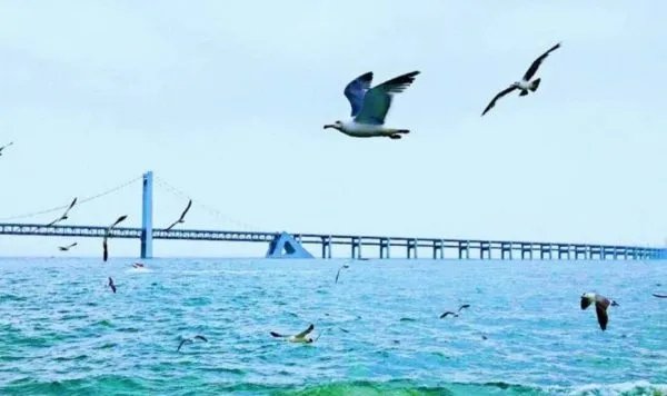 大连新冠肺炎本土确诊清零,是否意味着大连已平安?