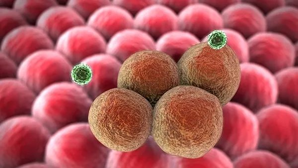 警惕！新疆新增23例确诊病例