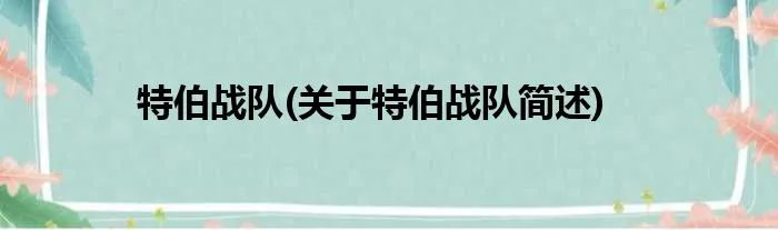 特伯战队(关于特伯战队简述)