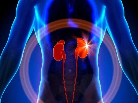 肾部护理的方法