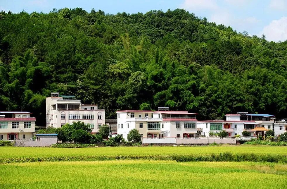 农村乱占耕地建房实施八不准，那些建房的何去何从？