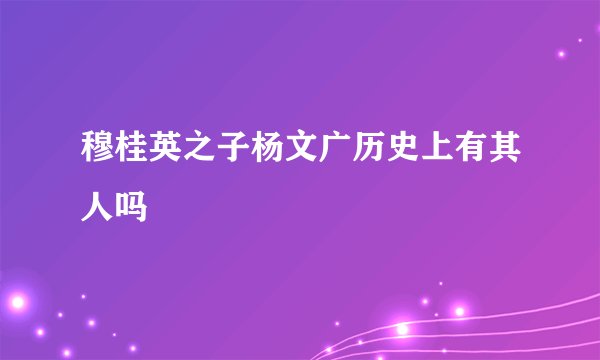 穆桂英之子杨文广历史上有其人吗