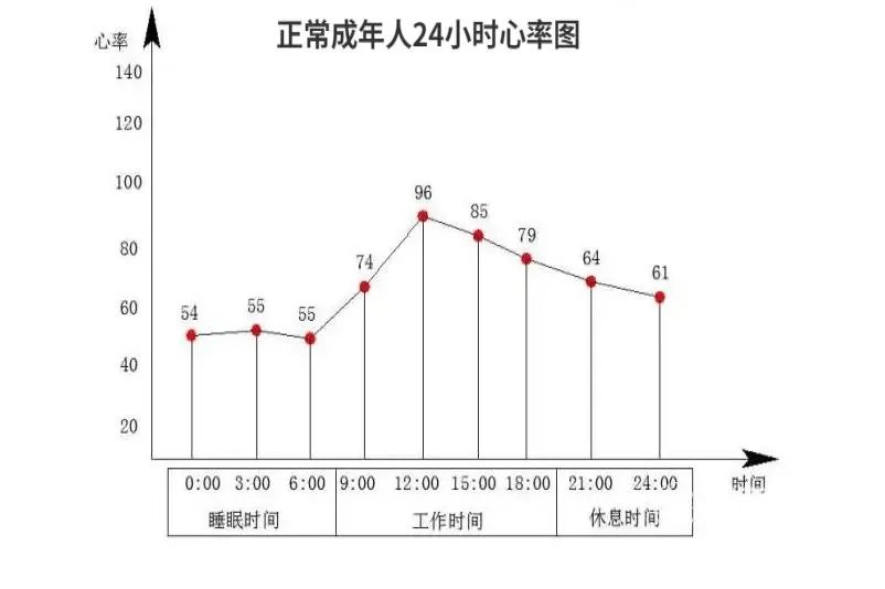 正常人一天心率变化图
