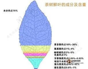 茅台股价又创新高了,你怎么看?