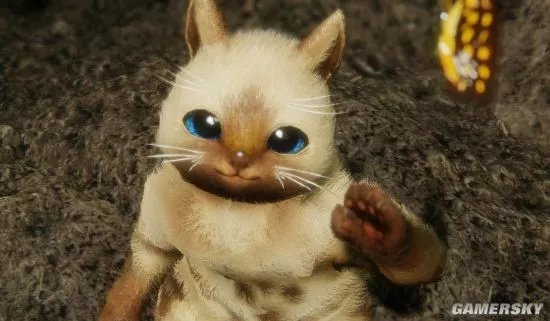 怪物猎人OL艾露猫选择攻略 随行猫培养培养方法