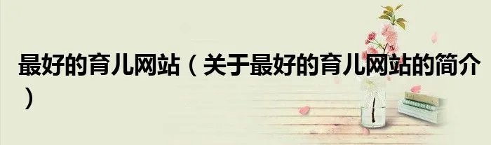 最好的育儿网站（关于最好的育儿网站的简介）