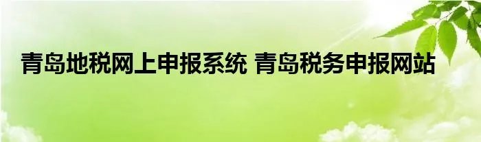 青岛地税网上申报系统 青岛税务申报网站