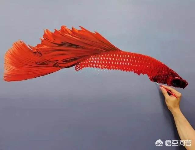 哪里的美术画室比较好？