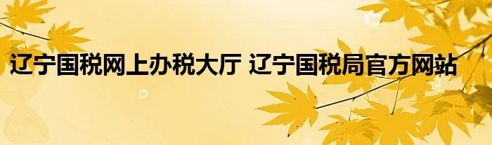 辽宁国税网上办税大厅 辽宁国税局官方网站