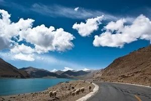 探访墨西哥新型流感暴发地:寻疫情元凶