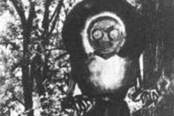 世界上十大怪物:第十名已被证实确实存在，你见过它吗？