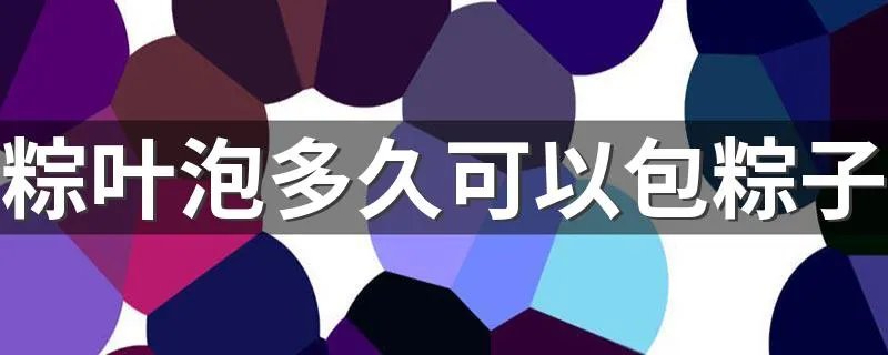 粽叶泡多久可以包粽子