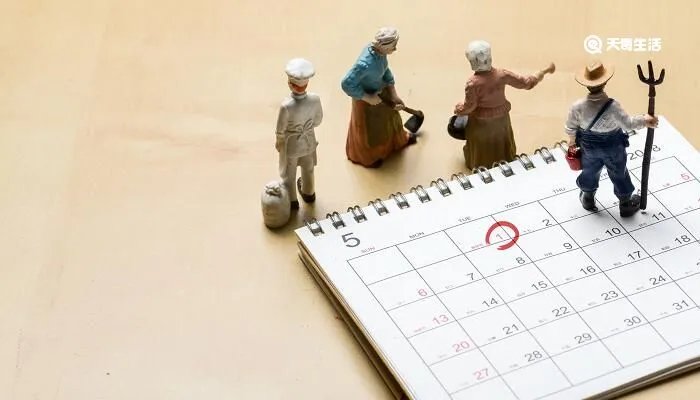 正月二十五是什么日子