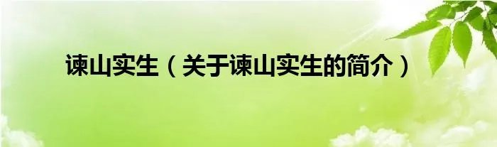 谏山实生（关于谏山实生的简介）