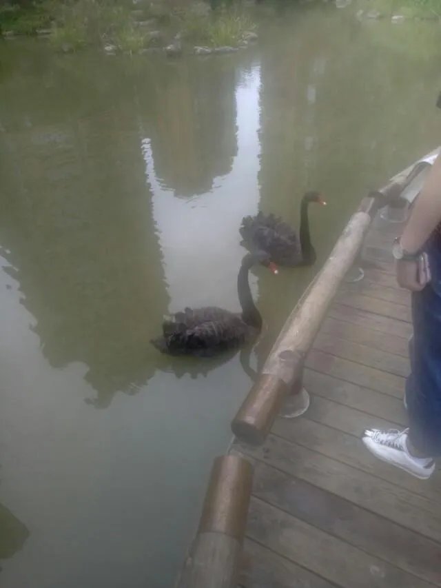 苹果新机人脸识别演示失败，你怎么看？