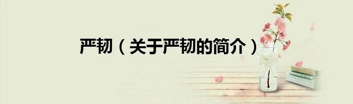 严韧（关于严韧的简介）