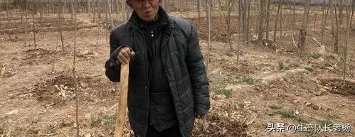 现在70岁左右的人算不算是老年人？