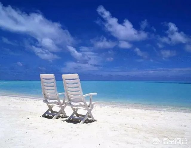 有人说看好北京女排今年联赛夺冠,这是真的吗?