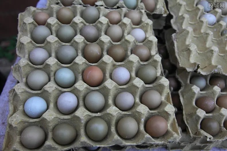 海外卖松花蛋被查 特色食品被查原因是什么？